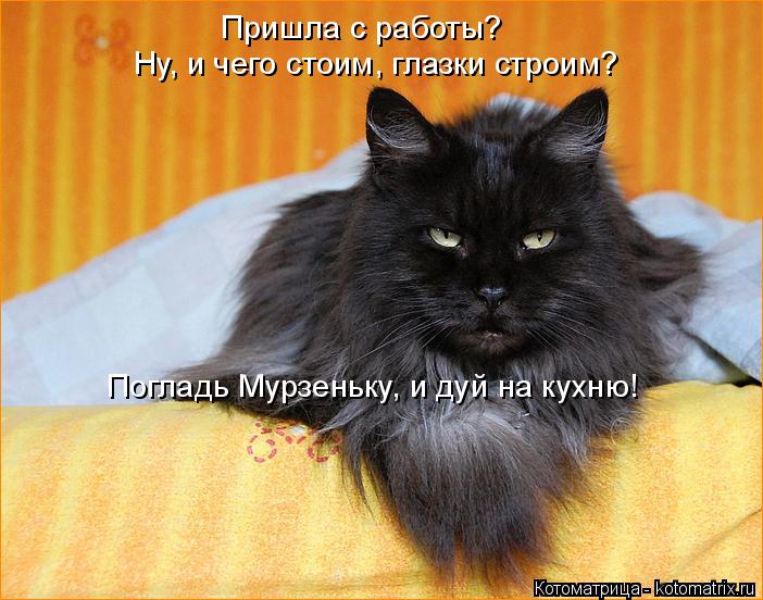 Пришла с работы? Ну, и чего стоим, глазки строим? Погладь Мурзеньку, и дуй на кухню!... Котоматрица: Пришла с работы? Ну, и чего стоим, глазки строим? Погладь Мурзеньку, и дуй на кухню!