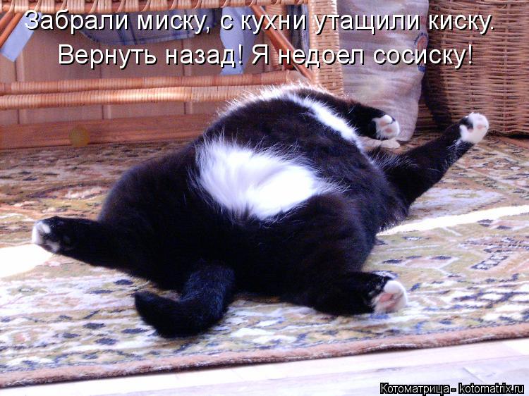 Вернуть назад! Я недоел сосиску! Забрали миску, с кухни утащили киску.... Котоматрица: Вернуть назад! Я недоел сосиску! Забрали миску, с кухни утащили киску.