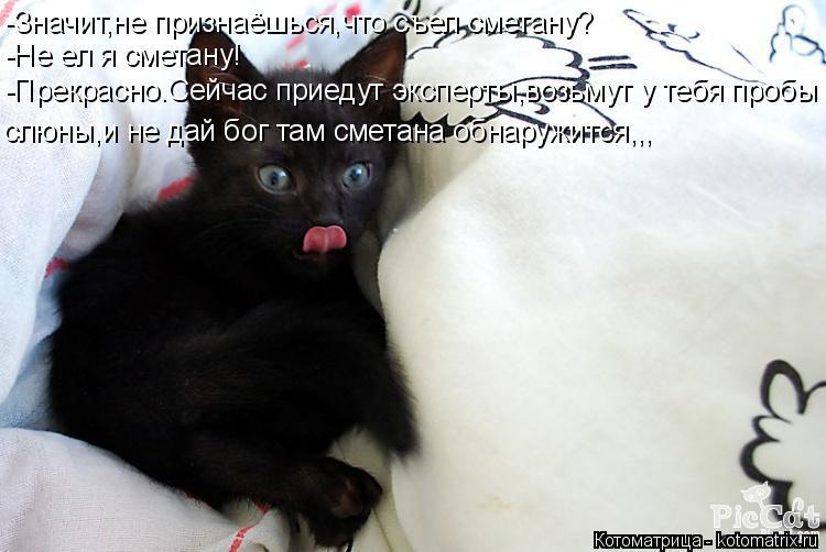-Значит,не признаёшься,что съел сметану? -Не ел я сметану! -Прекрасно.Сейчас приедут эксперты,возьмут... Котоматрица: -Значит,не признаёшься,что съел сметану? -Не ел я сметану! -Прекрасно.Сейчас приедут эксперты,возьмут у тебя пробы слюны,и не дай бог там сме