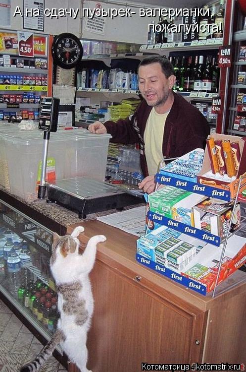 Котоматрица: А на сдачу пузырек- валерианки,  пожалуйста!