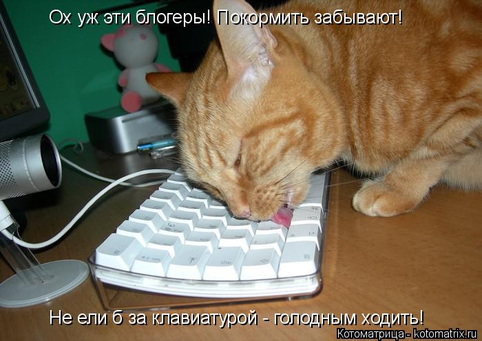 Ох уж эти блогеры! Покормить забывают! Не ели б за клавиатурой - голодным ходить!... Котоматрица: Ох уж эти блогеры! Покормить забывают! Не ели б за клавиатурой - голодным ходить!