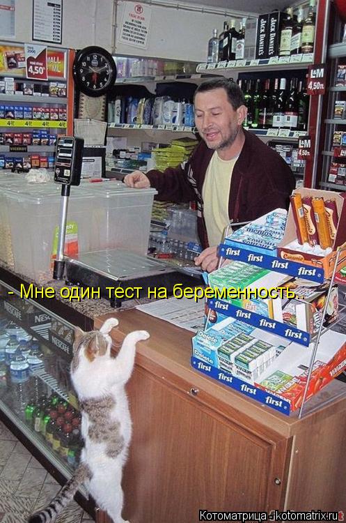Котоматрица: - Мне один тест на беременность..