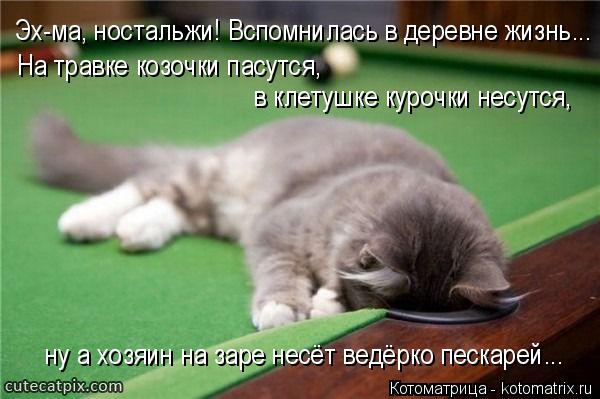 Эх-ма, ностальжи! Вспомнилась в деревне жизнь... На травке козочки пасутся, в клетушке курочки несутс... Котоматрица: Эх-ма, ностальжи! Вспомнилась в деревне жизнь... На травке козочки пасутся, в клетушке курочки несутся, ну а хозяин на заре несёт ведёрко песк