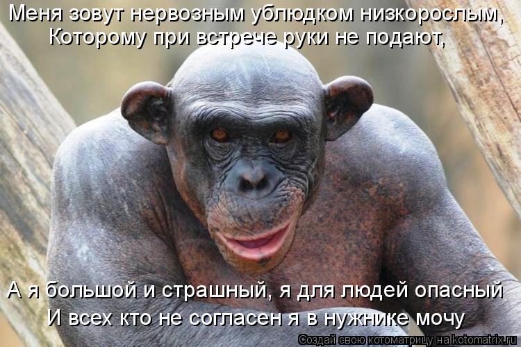 Меня зовут нервозным ублюдком низкорослым, Которому при встрече руки не подают, А я большой и страшны... Котоматрица: Меня зовут нервозным ублюдком низкорослым, Которому при встрече руки не подают, А я большой и страшный, я для людей опасный И всех кто не сог