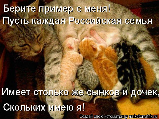 Берите пример с меня! Пусть каждая Российская семья Имеет столько же сынков и дочек, Скольких имею я!... Котоматрица: Берите пример с меня! Пусть каждая Российская семья Имеет столько же сынков и дочек, Скольких имею я!