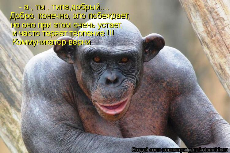 - а., ты , типа,добрый.... Добро, конечно, зло побеждает, но оно при этом очень устает, и часто теряе... Котоматрица: - а., ты , типа,добрый.... Добро, конечно, зло побеждает, но оно при этом очень устает, и часто теряет терпение !!! Коммуникатор верни