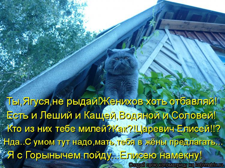 Ты,Ягуся,не рыдай!Женихов хоть отбавляй! Есть и Леший и Кащей,Водяной и Соловей! Кто из них тебе миле... Котоматрица: Ты,Ягуся,не рыдай!Женихов хоть отбавляй! Есть и Леший и Кащей,Водяной и Соловей! Кто из них тебе милей?Как?!Царевич Елисей!!? Нда..С умом тут на