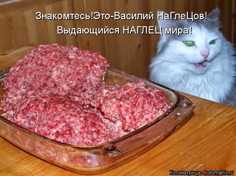 Знакомтесь!Это-Василий НаГлеЦов! Выдающийся НАГЛЕЦ мира!... Котоматрица: Знакомтесь!Это-Василий НаГлеЦов! Выдающийся НАГЛЕЦ мира!