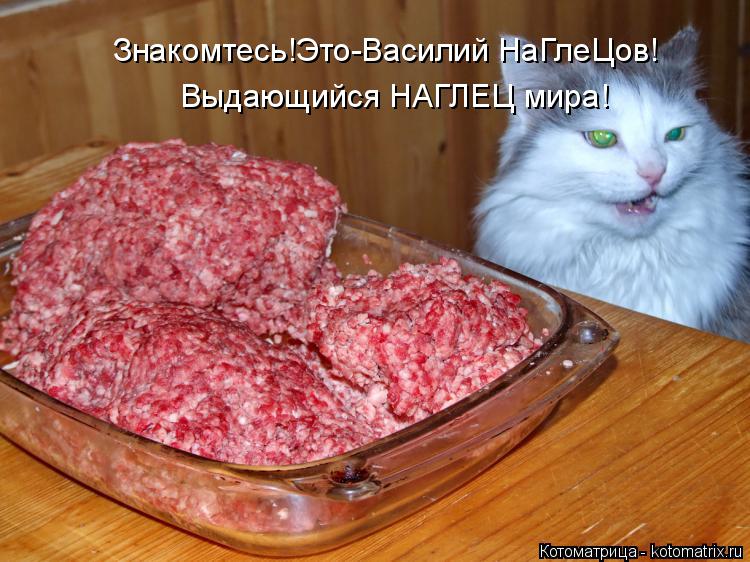 Котоматрица: Знакомтесь!Это-Василий НаГлеЦов! Выдающийся НАГЛЕЦ мира!