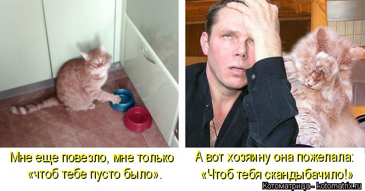 Мне еще повезло, мне только «чтоб тебе пусто было». А вот хозяину она пожелала: «Чтоб тебя скандыбачи... Котоматрица: Мне еще повезло, мне только «чтоб тебе пусто было». А вот хозяину она пожелала: «Чтоб тебя скандыбачило!»
