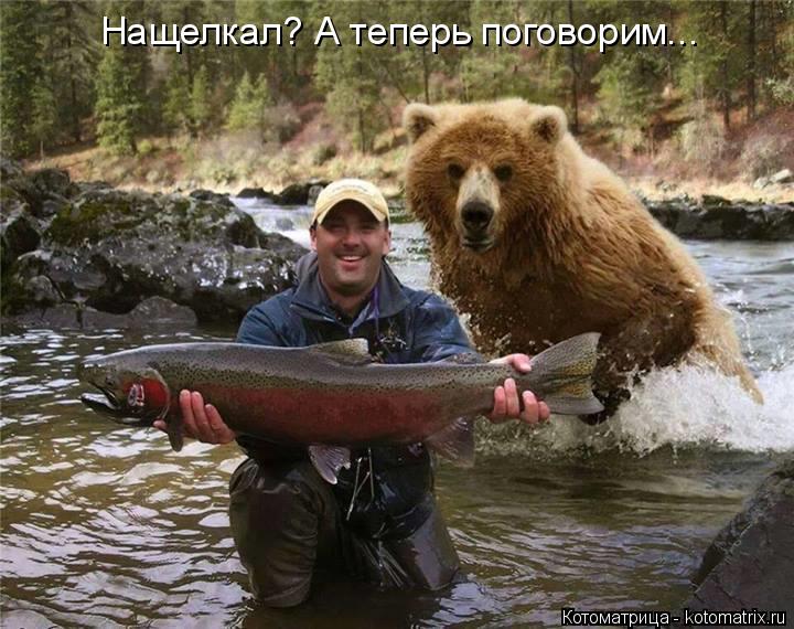Нащелкал? А теперь поговорим...... Котоматрица: Нащелкал? А теперь поговорим...
