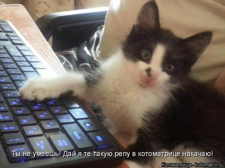 Ты не умеешь! Дай я те такую репу в котоматрице накачаю!... Котоматрица: Ты не умеешь! Дай я те такую репу в котоматрице накачаю!