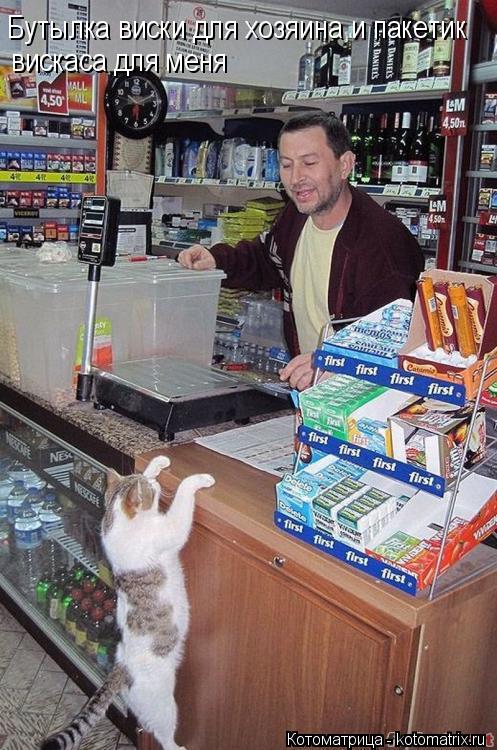 Бутылка виски для хозяина и пакетик вискаса для меня... Котоматрица: Бутылка виски для хозяина и пакетик вискаса для меня