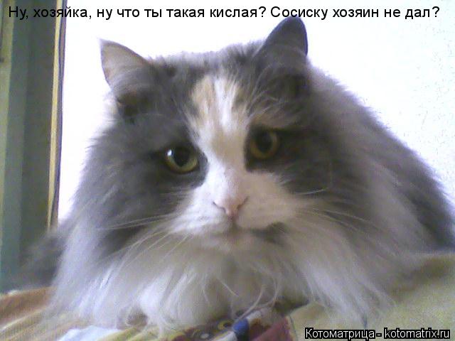 Ну, хозяйка, ну что ты такая кислая? Сосиску хозяин не дал?... Котоматрица: Ну, хозяйка, ну что ты такая кислая? Сосиску хозяин не дал?