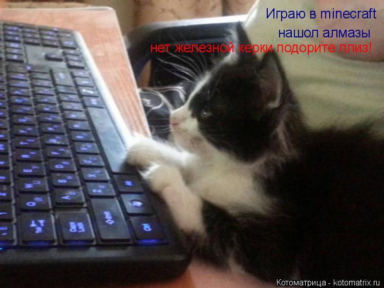 Играю в minecraft нашол алмазы нет железной керки подорите плиз!... Котоматрица: Играю в minecraft нашол алмазы нет железной керки подорите плиз!
