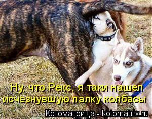 Ну, что Рекс, я таки нашел исчезнувшую палку колбасы... Котоматрица: Ну, что Рекс, я таки нашел исчезнувшую палку колбасы
