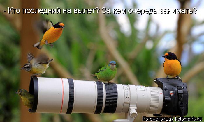 - Кто последний на вылет? За кем очередь занимать?... Котоматрица: - Кто последний на вылет? За кем очередь занимать?