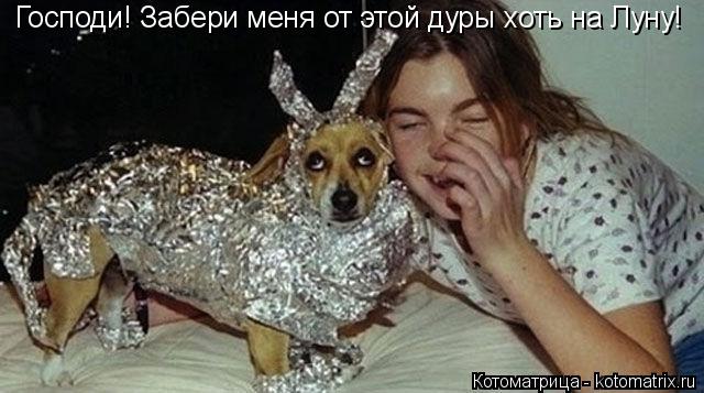 Господи! Забери меня от этой дуры хоть на Луну!... Котоматрица: Господи! Забери меня от этой дуры хоть на Луну!