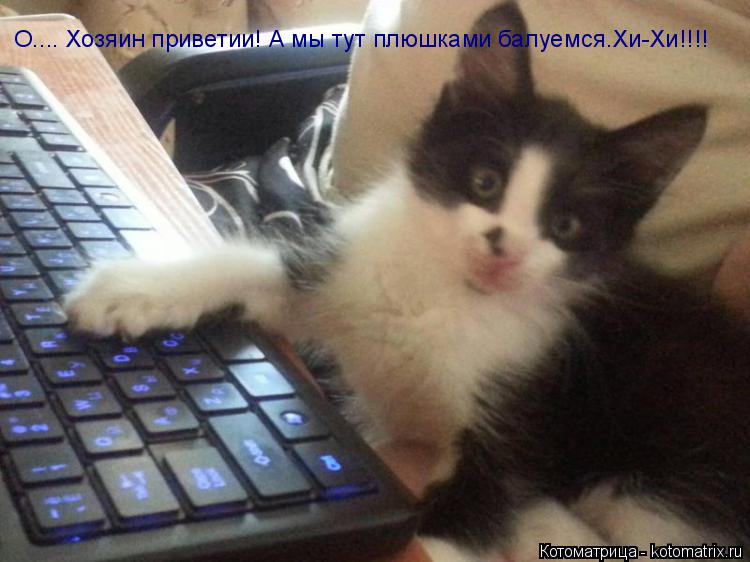 О.... Хозяин приветии! А мы тут плюшками балуемся.Хи-Хи!!!!... Котоматрица: О.... Хозяин приветии! А мы тут плюшками балуемся.Хи-Хи!!!!