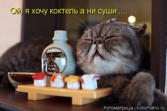 Ой, я хочу коктель а ни суши........ Котоматрица: Ой, я хочу коктель а ни суши.....