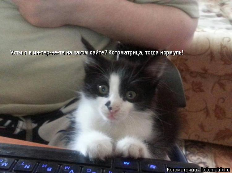 Ухты я в ин-тер-не-те на каком сайте? Котоматрица, тогда нормуль!... Котоматрица: Ухты я в ин-тер-не-те на каком сайте? Котоматрица, тогда нормуль!