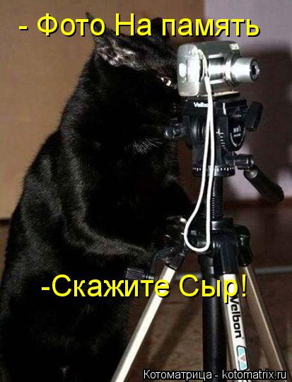 - Фото На память -Скажите Сыр!... Котоматрица: - Фото На память -Скажите Сыр!