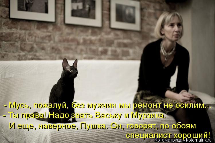 - Мусь, пожалуй, без мужчин мы ремонт не осилим... - Ты права! Надо звать Ваську и Мурзика. специал... Котоматрица: - Мусь, пожалуй, без мужчин мы ремонт не осилим... - Ты права! Надо звать Ваську и Мурзика. специалист хороший! И еще, наверное, Пушка. Он, говор