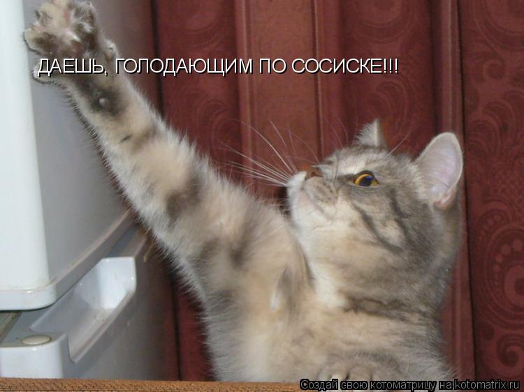 ДАЕШЬ, ГОЛОДАЮЩИМ ПО СОСИСКЕ!!!... Котоматрица: ДАЕШЬ, ГОЛОДАЮЩИМ ПО СОСИСКЕ!!!