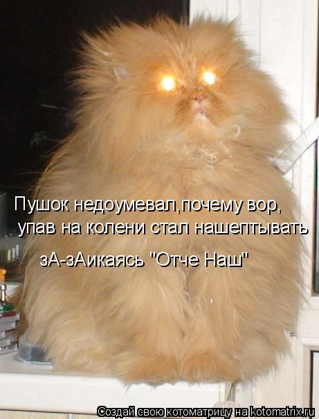 Котоматрица: Пушок недоумевал,почему вор, упав на колени стал нашептывать зА-зАикаясь "Отче Наш"