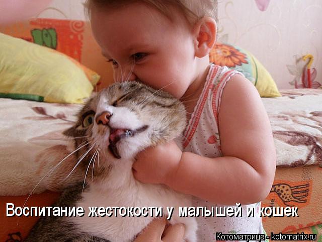 Воспитание жестокости у малышей и кошек Воспитание жестокости у малышей и кошек... Котоматрица: Воспитание жестокости у малышей и кошек Воспитание жестокости у малышей и кошек