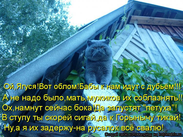 Ой,Ягуся!Вот облом!Бабы к нам идут с дубьём!!! А не надо было,мать,мужиков их соблазнять!!! Ох,намнут... Котоматрица: Ой,Ягуся!Вот облом!Бабы к нам идут с дубьём!!! А не надо было,мать,мужиков их соблазнять!!! Ох,намнут сейчас бока!Да запустят "петуха"! В ступу т