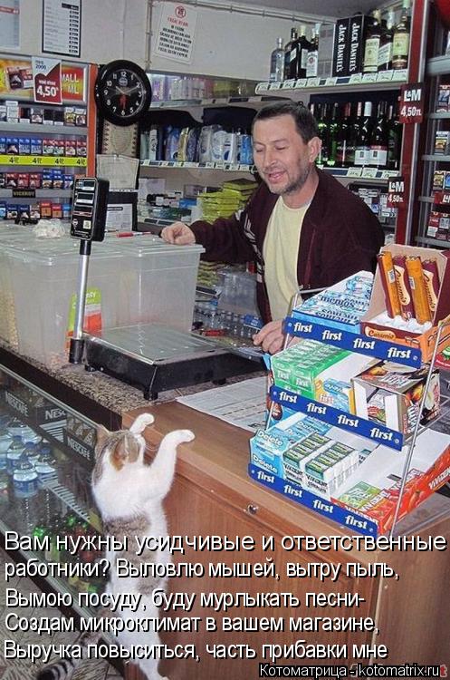 Вам нужны усидчивые и ответственные работники? Выловлю мышей, вытру пыль, Вымою посуду, буду мурлыка... Котоматрица: Вам нужны усидчивые и ответственные работники? Выловлю мышей, вытру пыль, Вымою посуду, буду мурлыкать песни- Создам микроклимат в вашем ма