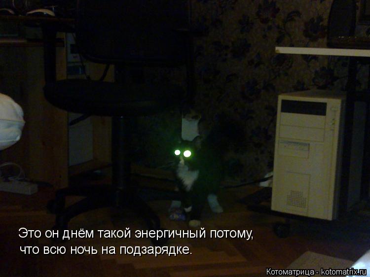 Котоматрица: Это он днём такой энергичный потому,  что всю ночь на подзарядке.