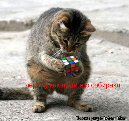 чёрт ну как люди его собирают чёрт ну как люди его собирают... Котоматрица: чёрт ну как люди его собирают чёрт ну как люди его собирают
