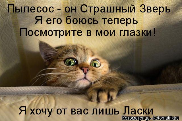 Пылесос - он Страшный Зверь Я его боюсь теперь Посмотрите в мои глазки! Я хочу от вас лишь Ласки... Котоматрица: Пылесос - он Страшный Зверь Я его боюсь теперь Посмотрите в мои глазки! Я хочу от вас лишь Ласки