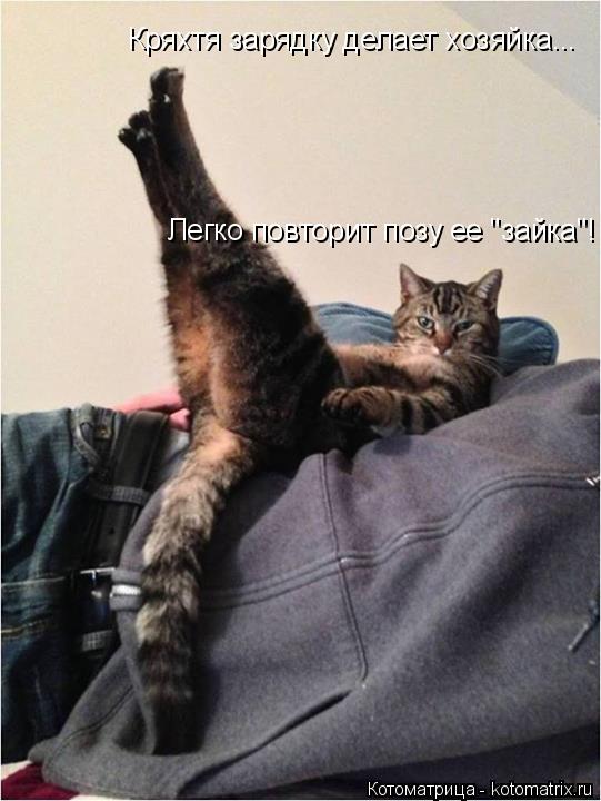 Легко повторит позу ее "зайка"! Кряхтя зарядку делает хозяйка...... Котоматрица: Легко повторит позу ее "зайка"! Кряхтя зарядку делает хозяйка...