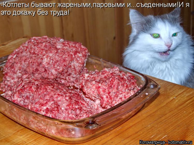 -Котлеты бывают жареными,паровыми и...съеденными!И я это докажу без труда!... Котоматрица: -Котлеты бывают жареными,паровыми и...съеденными!И я это докажу без труда!