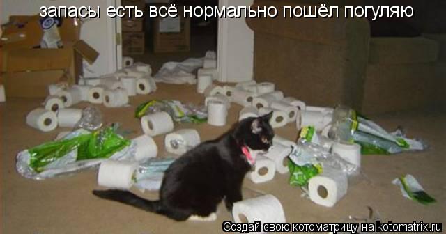 запасы есть всё нормально пошёл погуляю... Котоматрица: запасы есть всё нормально пошёл погуляю