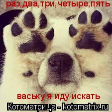 Котоматрица: раз,два,три,четыре,пять ваську я иду искать
