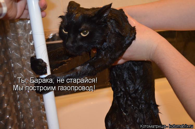 Ты, Барака, не старайся! Мы построим газопровод!... Котоматрица: Ты, Барака, не старайся! Мы построим газопровод!