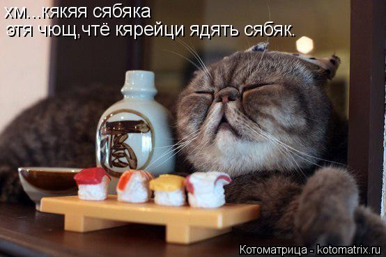 Котоматрица: хм...кякяя сябяка этя чющ,чтё кярейци ядять сябяк.