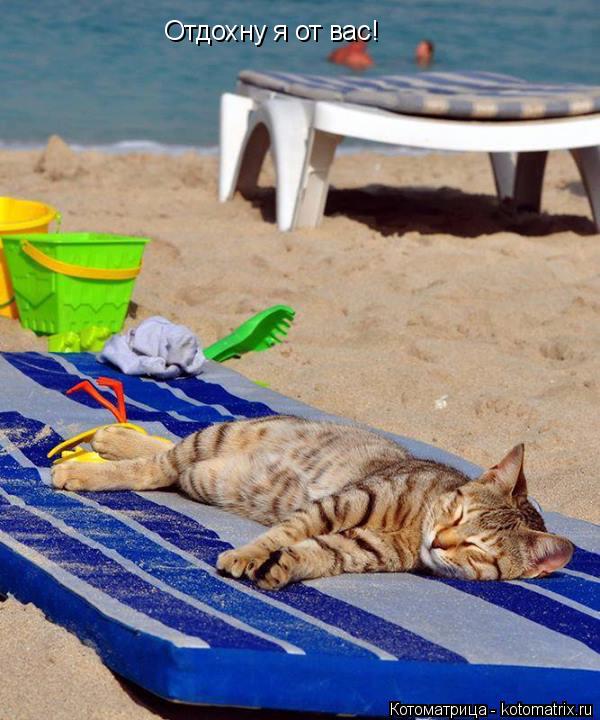 Отдохну я от вас!... Котоматрица: Отдохну я от вас!