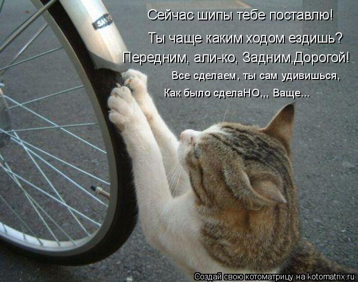 Сейчас шипы тебе поставлю! Ты чаще каким ходом ездишь? Передним, али-ко, Задним,Дорогой! Все сделаем,... Котоматрица: Сейчас шипы тебе поставлю! Ты чаще каким ходом ездишь? Передним, али-ко, Задним,Дорогой! Все сделаем, ты сам удивишься, Как было сделаНО,,, Ващ