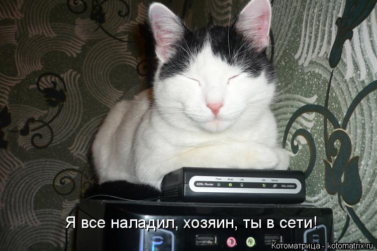 Котоматрица: Я все наладил, хозяин, ты в сети!