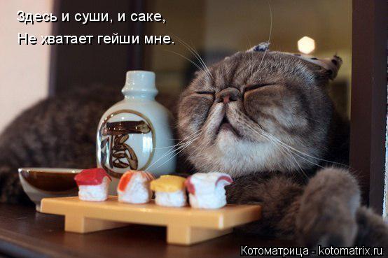 Здесь и суши, и саке, Не хватает гейши мне.... Котоматрица: Здесь и суши, и саке, Не хватает гейши мне.