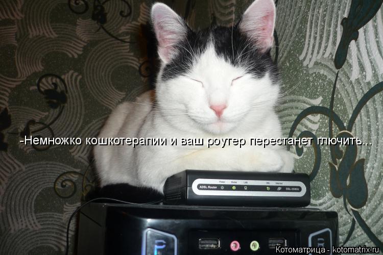-Немножко кошкотерапии и ваш роутер перестанет глючить...... Котоматрица: -Немножко кошкотерапии и ваш роутер перестанет глючить...