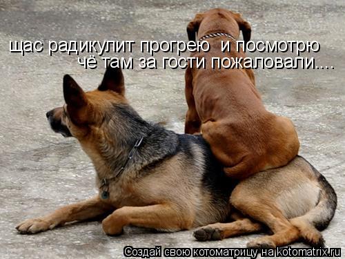 щас радикулит прогрею и посмотрю чё там за гости пожаловали....... Котоматрица: щас радикулит прогрею и посмотрю чё там за гости пожаловали....
