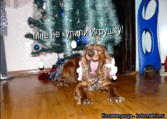 Котоматрица: Мне не купили Игрушку!