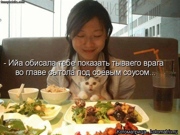 - Ийа обисала тебе показать тываего врага во главе сытола под соевым соусом...... Котоматрица: - Ийа обисала тебе показать тываего врага во главе сытола под соевым соусом...