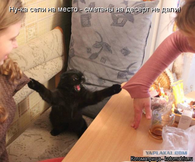 Ну-ка сели на место - сметаны на десерт не дали!... Котоматрица: Ну-ка сели на место - сметаны на десерт не дали!